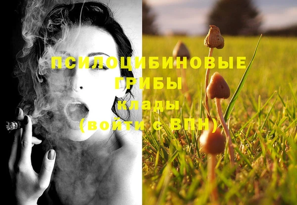 крисы Бронницы