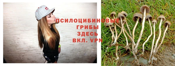 крисы Бронницы